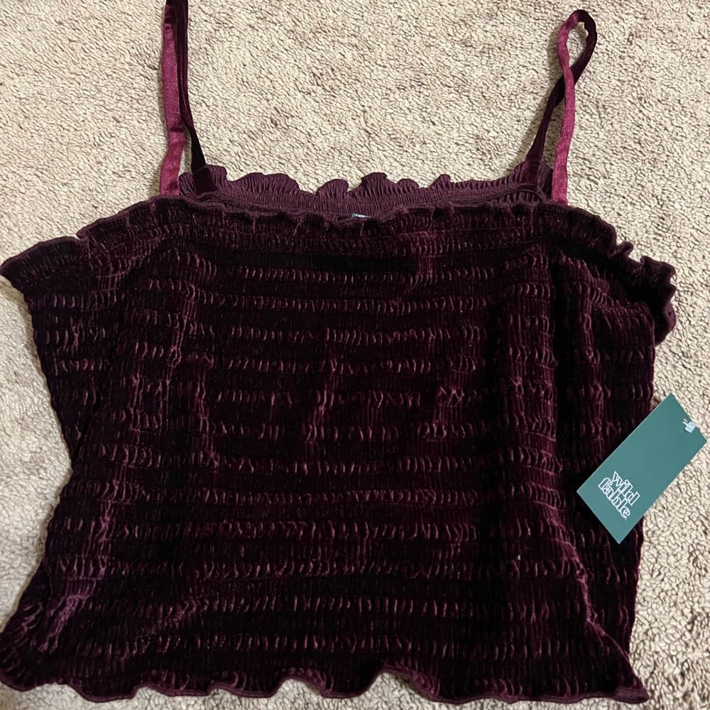 wild fable velvet tank top!
